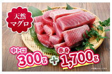 三崎の天然マグロ三昧！中トロ・赤身がたっぷり入った王道コンビ2kgセット！　M063-004