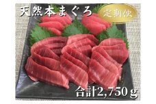 【全5回定期便】天然！本鮪中とろ・赤身 お刺身　M005-T04