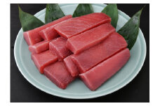 ＜三崎港直送！＞これを選べば間違いなし！業務用 三崎の天然マグロ2kg　M063-003-02