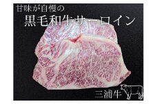 三浦牛サーロイン（400g）　M082-003