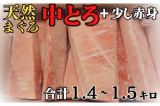 【中トロ主体で1kg以上】三崎の天然目鉢まぐろ　M030-016