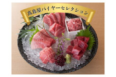 【髙島屋バイヤーセレクション】三崎港直送 天然本まぐろ　M038-003