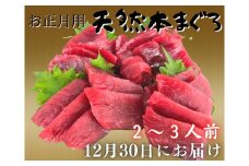 【お正月用】本まぐろ赤身2柵（2025年12月30日にお届け）2～3人前　M005-037