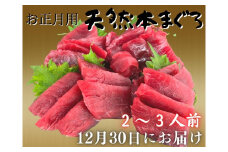 【お正月用】本まぐろ赤身2柵（2025年12月30日にお届け）2～3人前　M005-037