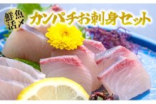 【高鮮度】鮮魚活〆カンパチお刺身セット　M079-004