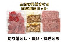 【子どもも大好き！】カンタン解凍まぐろセット　M030-004