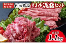 【神奈川県産黒毛和牛】三浦市の佐藤牧場が育てた葉山牛満腹セット（切落し＋肩ロース）　M079-009