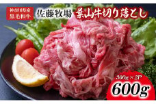 【神奈川県産黒毛和牛】三浦市の佐藤牧場が育てた葉山牛 切り落とし2P　M079-006-01