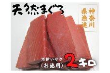 神奈川県漁連 三崎まぐろ 2kg【お徳用】不揃いサク　M077-009