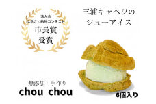 【三浦キャベツのシューアイス】chou chou＜しゅーしゅー＞　M074-001