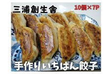 三浦創生舎のいちばん餃子（ハートフルさと納税）　M101-001