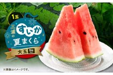 三浦のスイカ「夏まくら」（大玉）　M080-005-01