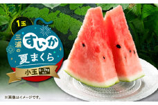 三浦のスイカ「夏まくら」（小玉）　M080-005-03