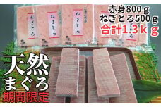 三崎の天然まぐろ赤身800g・ねぎとろ100g5パック（500g）セット　M024-002