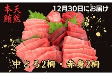 【お正月用B】天然本鮪中とろ2柵・赤身2柵（2025年12月30日にお届け）　M005-051-02