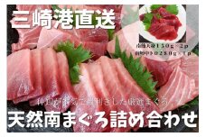 三崎港直送 天然南まぐろ詰め合わせ　M078-001-02