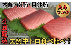 【定期便】中とろづくし＜4回配送＞A4ランク　M005-T06