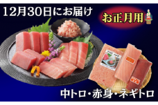 お正月用 メバチ鮪セット（神奈川県漁連）　M077-006-01