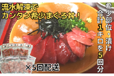 （全5回配送）天然！三崎まぐろ漬け・希少部位（背トロ）のまぐろ丼セット定期便【流水解凍で簡単】　M005-T05
