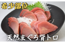 ＜希少部位＞目鉢鮪の背トロお刺身セット　M005-054