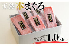 【至極の味わい】天然本まぐろ 1kg（大トロ200g、中トロ400g、赤身400g）　M020-025-01