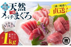 【至福のひと時】天然目鉢まぐろ 1kg（大トロ200g、中トロ400g、赤身400g）　M020-026-01