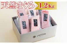 【お箸が止まらない】天然目鉢まぐろ1.2kg（大トロ400g、中トロ400g、赤身400g）　M020-026-02