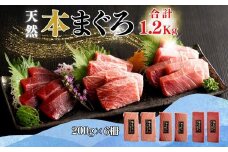 【みんなの心彩る】天然本まぐろ 1.2kg（大トロ400g、中トロ400g、赤身400g）　M020-025-02