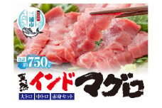 三崎マグロ 鈴木水産 天然インドマグロ（大トロ・中トロ・赤身）セット　M105-001