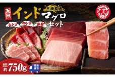 三崎マグロ 鈴木水産 天然インドマグロ（大トロ・中トロ・赤身）セット　M105-001