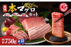 三崎マグロ 鈴木水産 天然本マグロ（大トロ・中トロ・赤身）セット　M105-002