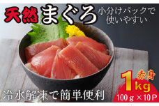【小分けパックで使いやすい】切れてる天然マグロ100g×10P【神奈川県漁連】　M077-005