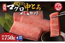 三崎マグロ 鈴木水産 天然マグロ（中トロ3柵）セット　M105-003