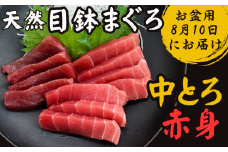 【お盆用】天然目鉢鮪 中とろ2柵・赤身1柵＜A2ランク＞（8月10日にお届け）　M005-005