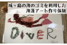 海から出たゴミを利用したシーボーンアート 海藻アート作り体験　M064-007