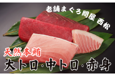 創業以来130年 三崎港老舗問屋「西松」厳選 天然本鮪 満喫詰め合わせ 660g　M040-005