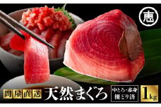 とにかくまぐろの質に自信あり！問屋直送！天然三崎まぐろ 1kg 中トロ赤身　M020-011