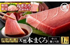 【期間限定 ねぎとろ付き】まぐろ専門の老舗問屋からお届け！とろける！上質 天然本まぐろ中トロ1kg分　M020-012-cp