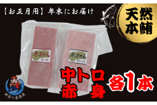 【年内発送】神奈川県漁連 天然本マグロ 中トロ・赤身セット【お正月用】　M077-013-03