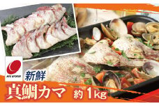新鮮真鯛カマ（約1Kg）　M079-011-01