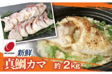 新鮮真鯛カマ（約2Kg）　M079-011-02