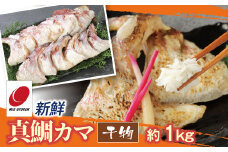 新鮮真鯛カマ干物（約1Kg）　M079-011-03
