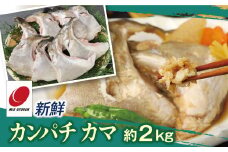 新鮮カンパチ カマ 約2kg　M079-012-02