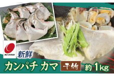 新鮮カンパチ カマ干物 約1kg　M079-012-03