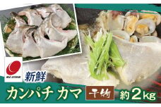 新鮮カンパチ カマ干物 約2kg　M079-012-04
