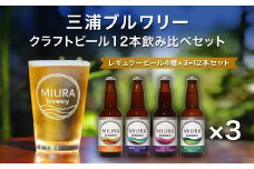 【三浦ブルワリー】クラフトビール 12本飲み比べセット　M110-001-03