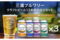 【三浦ブルワリー】クラフトビール 12本飲み比べセット　M110-001-03