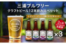 【全3回定期便】【三浦ブルワリー】クラフトビール 12本飲み比べセット　M110-T03