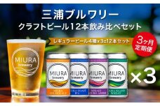 【全3回定期便】【三浦ブルワリー】クラフトビール 12本飲み比べセット　M110-T03