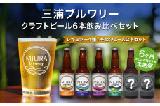 【全6回定期便】【三浦ブルワリー】クラフトビール定番4本と季節のビール2本飲み比べセット　M110-T05